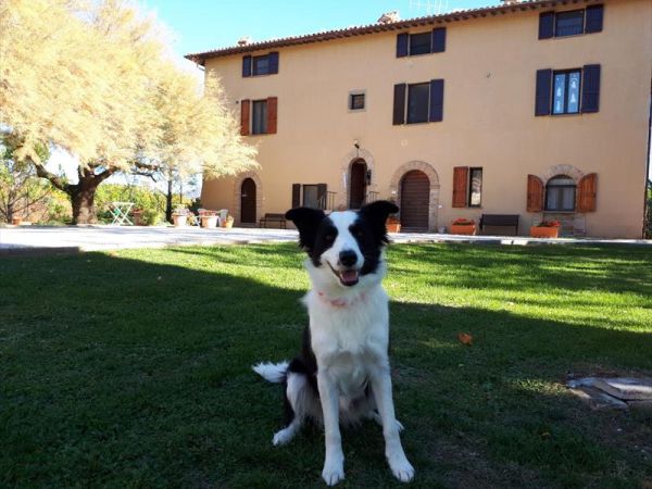 Villa Mozart - foto 40581.jpg