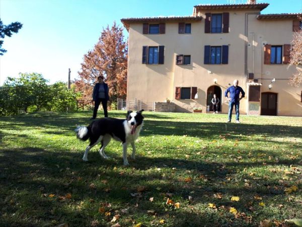 Villa Mozart - foto 40583.jpg