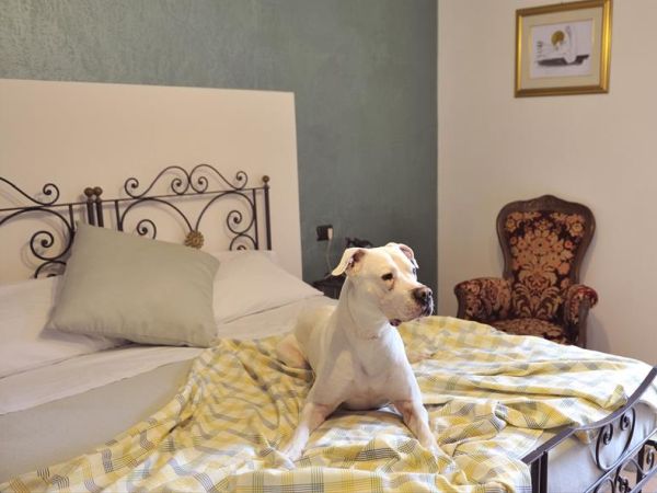 Hotel San Marco  - foto 40671.jpg