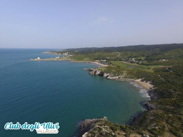 Villaggio Club degli Ulivi - foto 40758.jpg