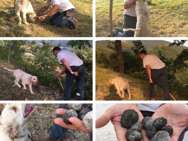 Agriturismo Ca Licozzo - foto 40810.jpg