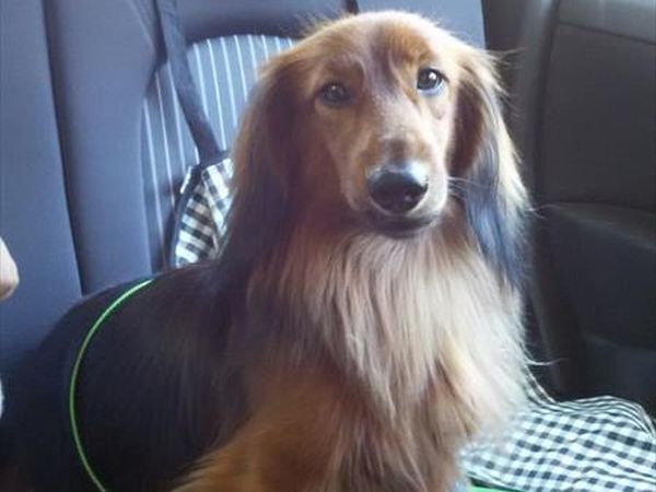 Agriturismo Santo Stefano - foto 40822.jpg