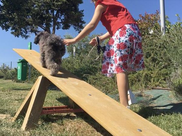 Villa Gens Camuria - foto 40838.jpg