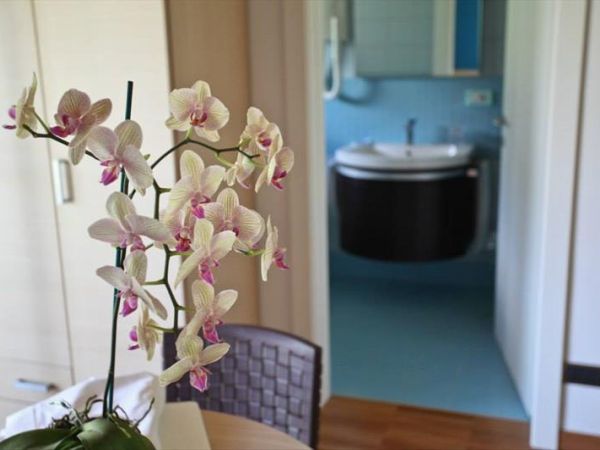 Agriturismo Terra del Sole - foto 40877.jpg