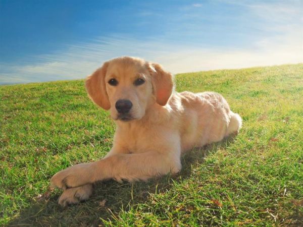 Romantic Hotel Furno - foto 40891.jpg