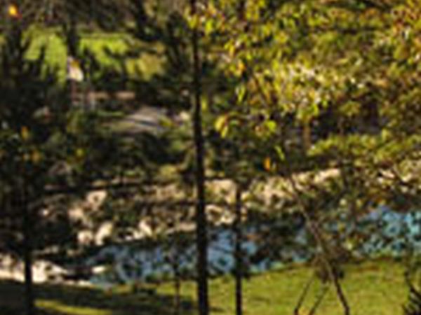 Camping Village La Verna - foto 2113.jpg