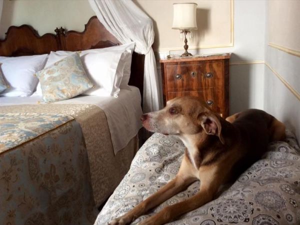 Residenza Dei Ricci Relais - foto 40987.jpg