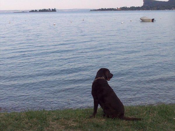 Camping Village Europa Silvella - foto 41107.jpg