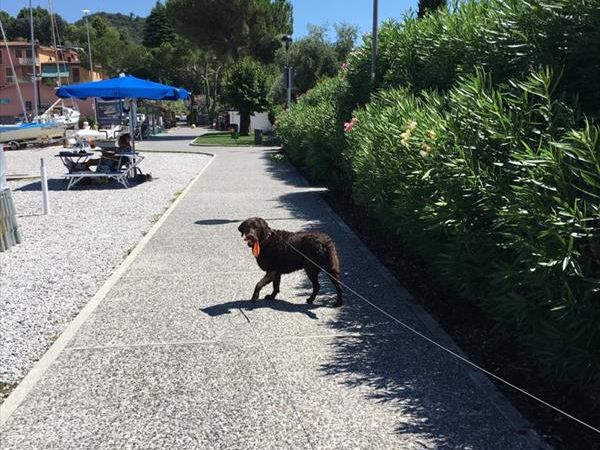 Camping Village Europa Silvella - foto 41108.jpg