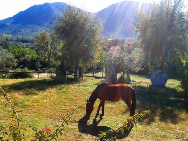 Nuraghe Murtarba - foto 41166.jpg