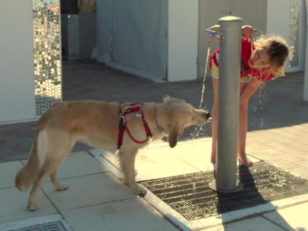 Bagno Egisto 38 - foto 41258.jpg