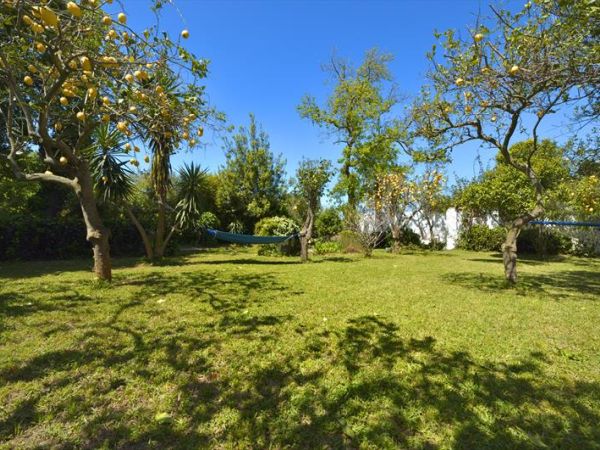 Casa Vacanze Le Querce - foto 41325.jpg