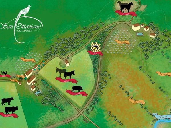 Agriturismo San Ottaviano - foto 41390.jpg