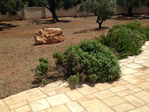 Casa Marta al mare & Trullallero del Salento - foto 41408.jpg