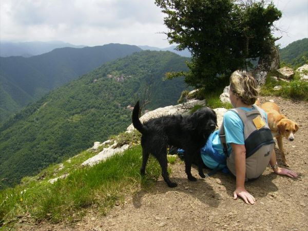 Agriturismo degli Olivi  - foto 41422.jpg