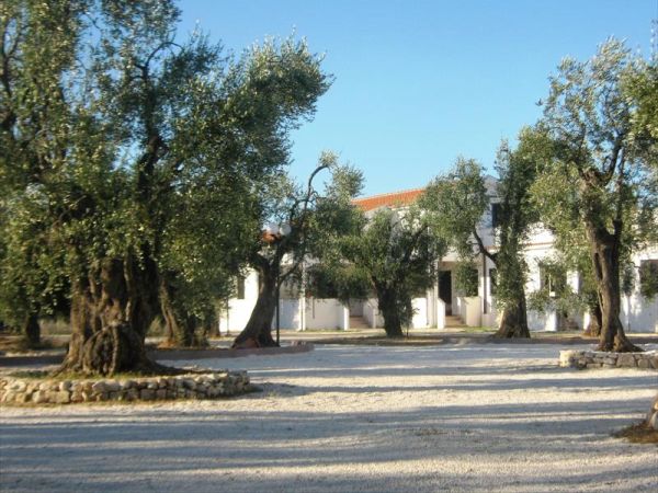 Residence Villa Medina - foto 41439.jpg