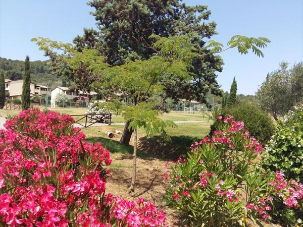 Le Corti di Montepitti - foto 41447.jpg