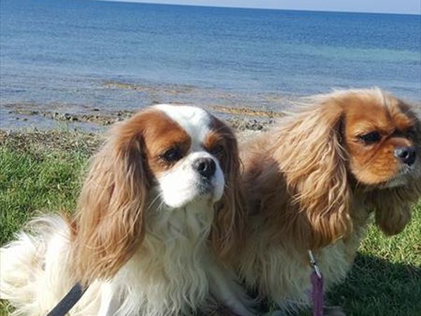 Eden Salento Agri Beach  - foto 41468.jpg