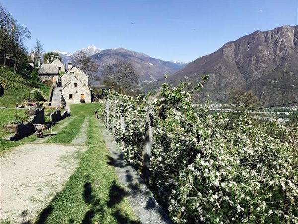 Agriturismo La Tensa  - foto 41567.jpg