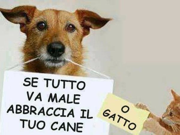 Hotel Los Angeles  - foto 41781.jpg