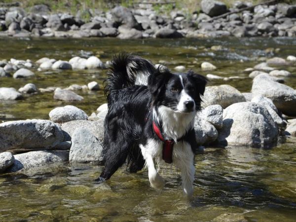 Sonne Active Hotel - foto 41851.jpg