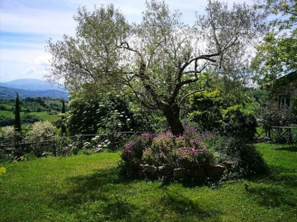 Agriturismo Montesalce - foto 41877.jpg