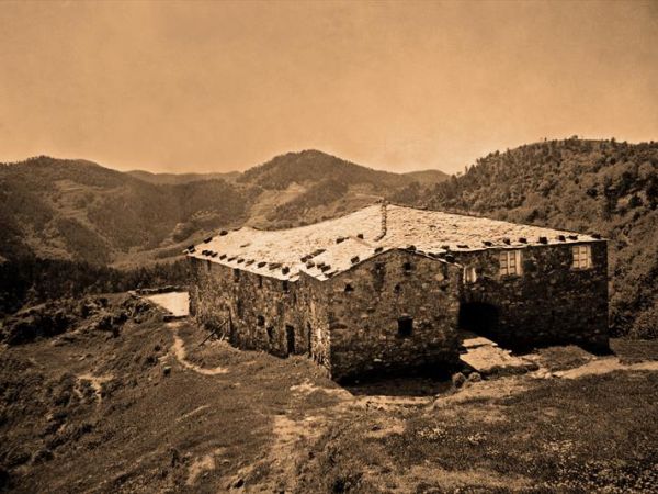 Agriturismo degli Olivi  - foto 42225.jpg