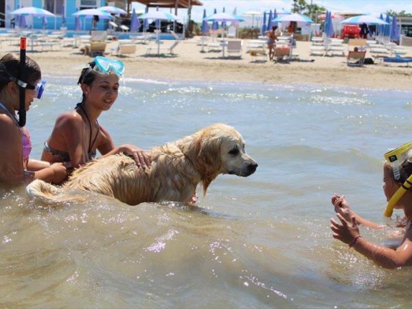 ISLAMORADA - Dog Beach  - foto 42277.jpg