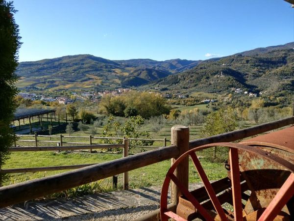 Agriturismo La Fontaccia - foto 42307.jpg