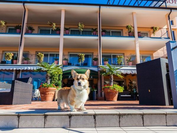 Boffenigo SMALL & BEAUTIFUL Hotel  - foto 42312.jpg