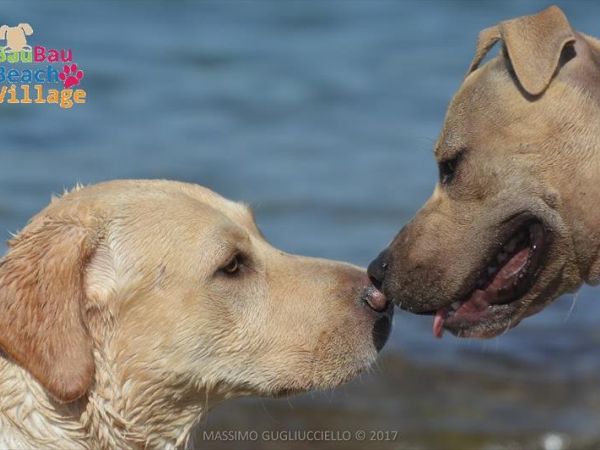 Bau Bau Beach Village Spiaggia - foto 42316.jpg