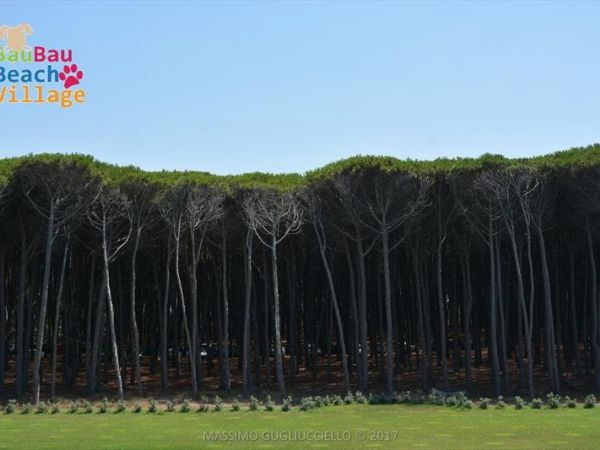Bau Bau Beach Village Spiaggia - foto 42318.jpg