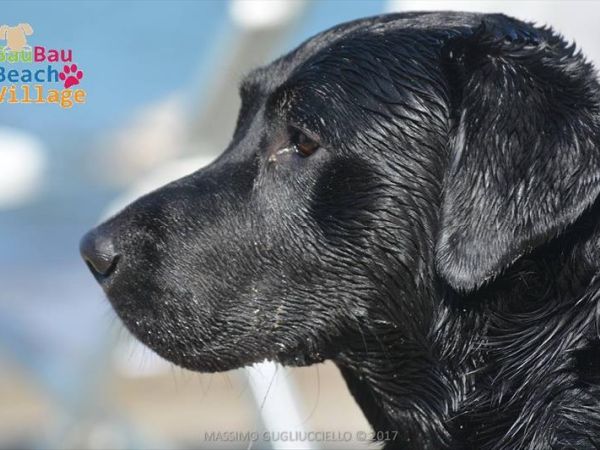 Bau Bau Beach Village Spiaggia - foto 42325.jpg