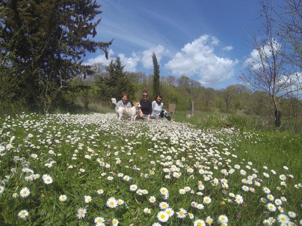 Villa Finetti  - foto 42345.jpg