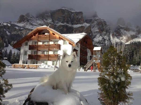 Hotel Lupo Bianco Wellness & Walking - foto 42543.jpg