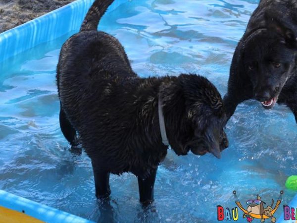 Bau Beach Amantea - foto 42582.jpg