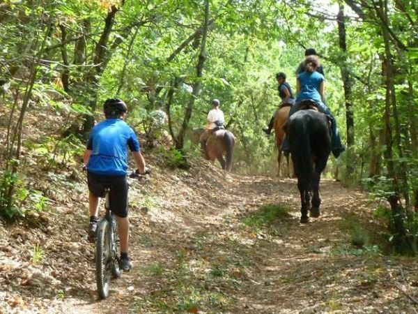 Rifugio Prategiano - foto 42755.jpg
