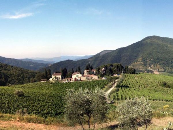 Azienda Agricola Frascole - foto 42837.jpg