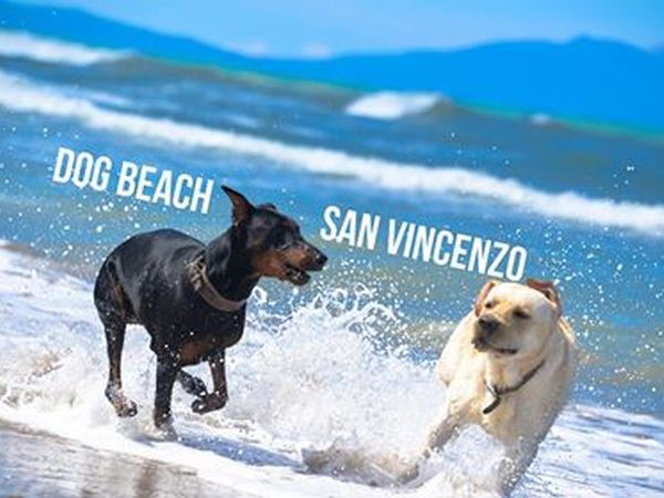 Agriturismo lOliveto - foto 42872.jpg