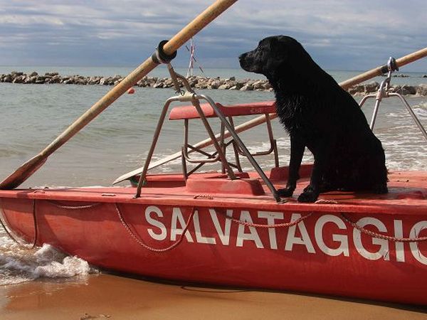 La Spiaggia di Pluto - foto 2224.jpg