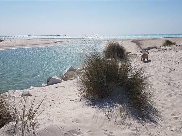 Nonno Alberice Appartamenti - foto 42913.jpg