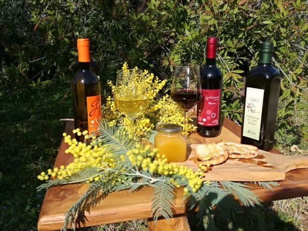 Agriturismo lOliveto - foto 42914.jpg