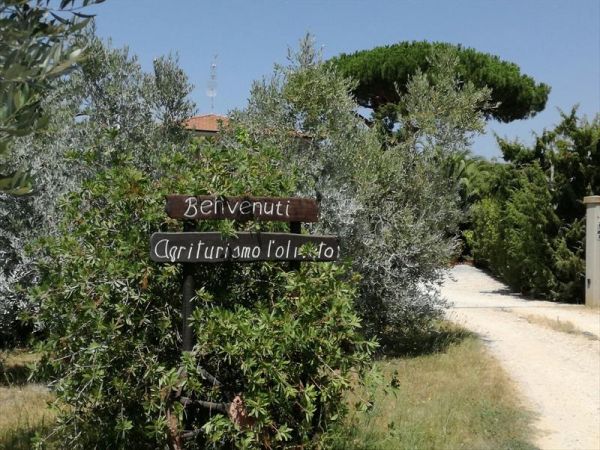 Agriturismo lOliveto - foto 42915.jpg