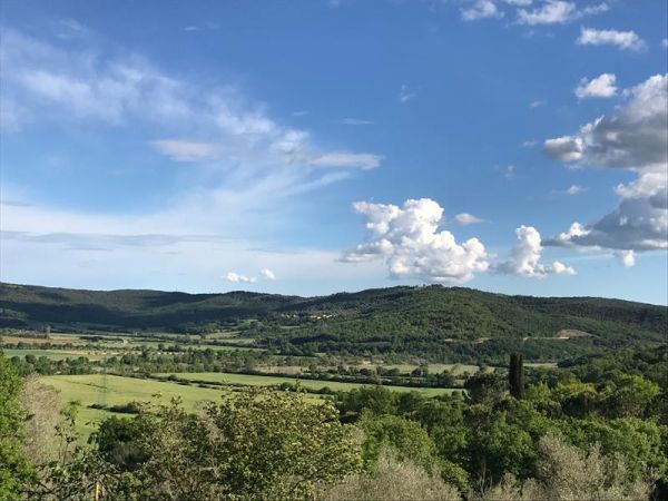 Agriturismo San Ottaviano - foto 43093.jpg