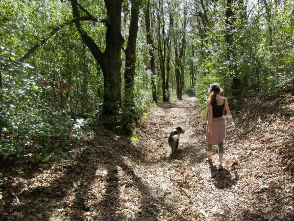 Agriturismo San Ottaviano - foto 43096.jpg