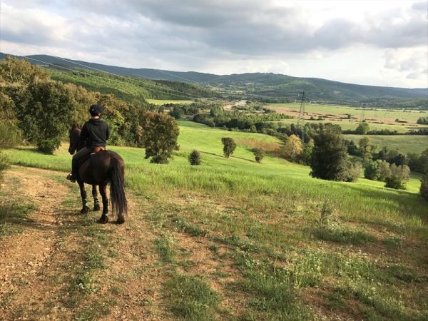 Agriturismo San Ottaviano - foto 43116.jpg