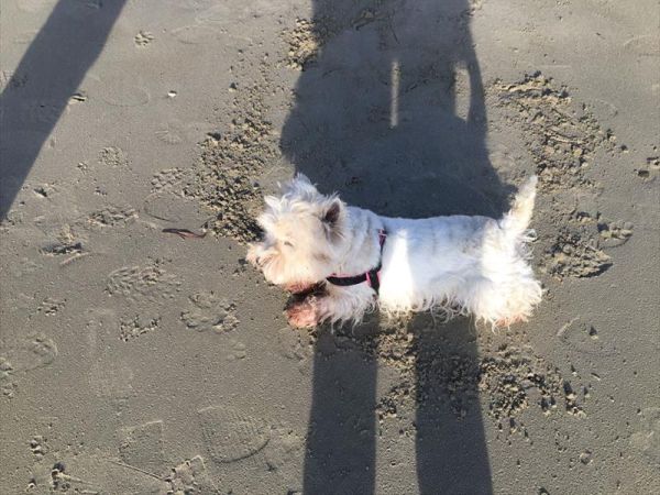 Spiaggia Pascia Glam Beach  - foto 43180.jpg