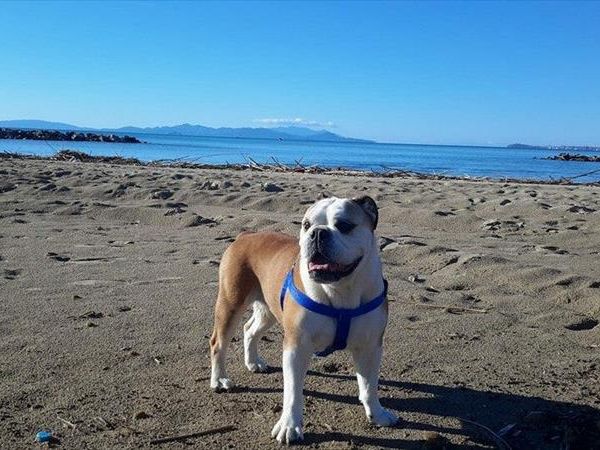 Spiaggia Pascia Glam Beach  - foto 43190.jpg