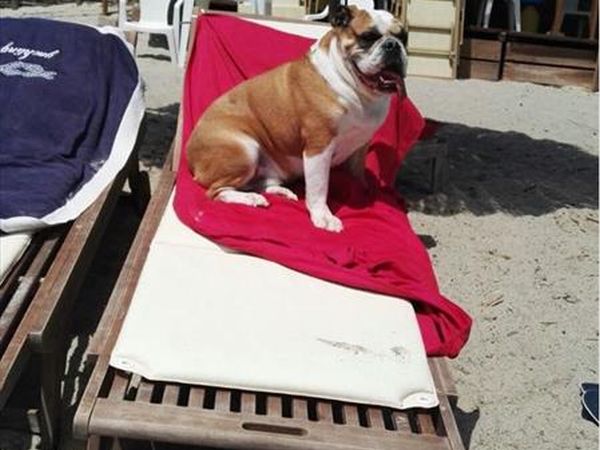 Spiaggia Pascia Glam Beach  - foto 43191.jpg