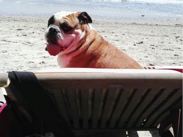 Spiaggia Pascia Glam Beach  - foto 43192.jpg